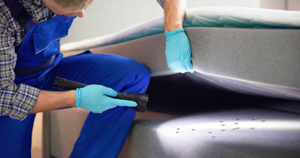Best Insect Control  in Monrovia, CA