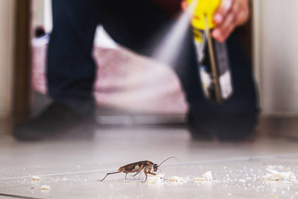 Best Residential Pest Control  in Monrovia, CA