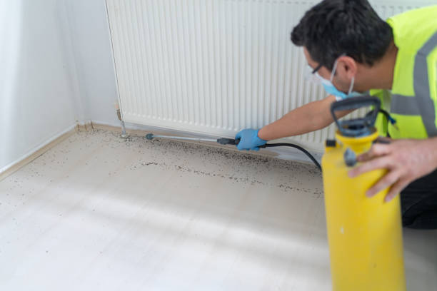 Best Pest Inspection Near Me  in Monrovia, CA